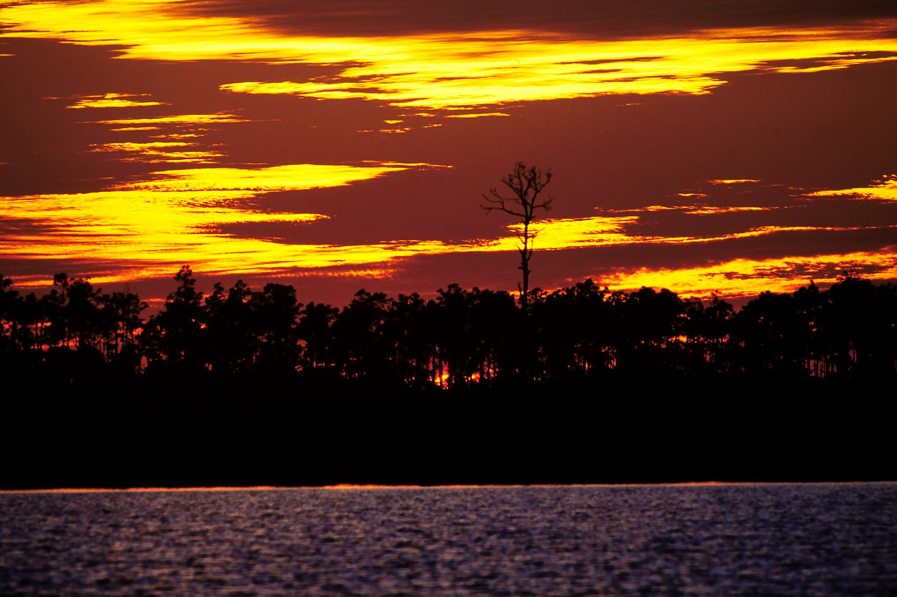 Kodachrome Skies