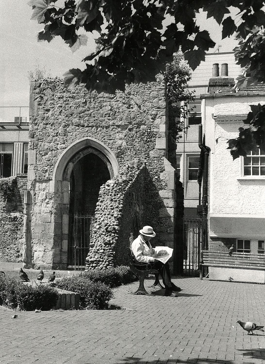 Kodak Bromide 01