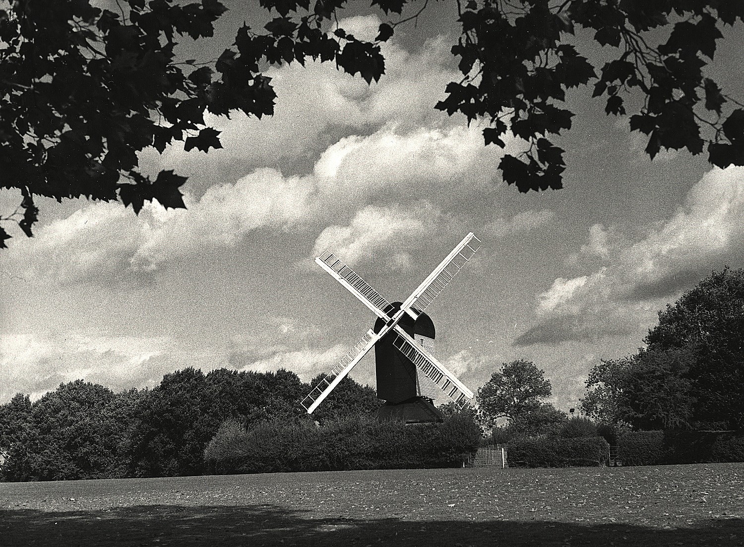 Kodak Bromide 03