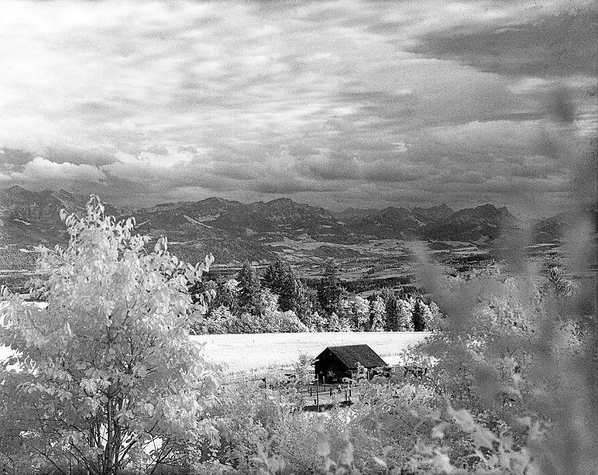 Kodak HIE out of my window!