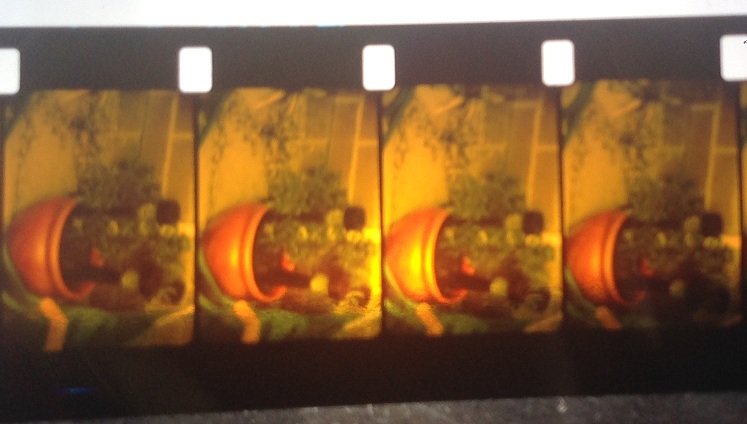 Kodak Vision 200T 7213 as Colour Rev