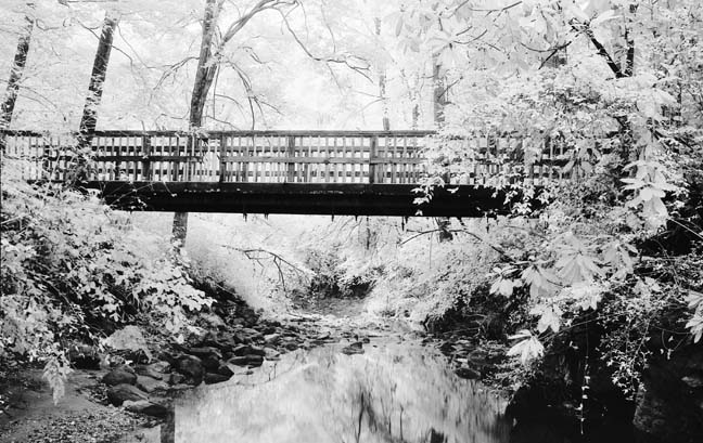 Konica Infrared #3