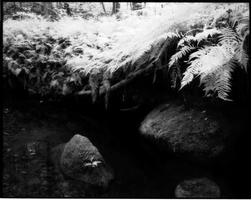 Konica Infrared
