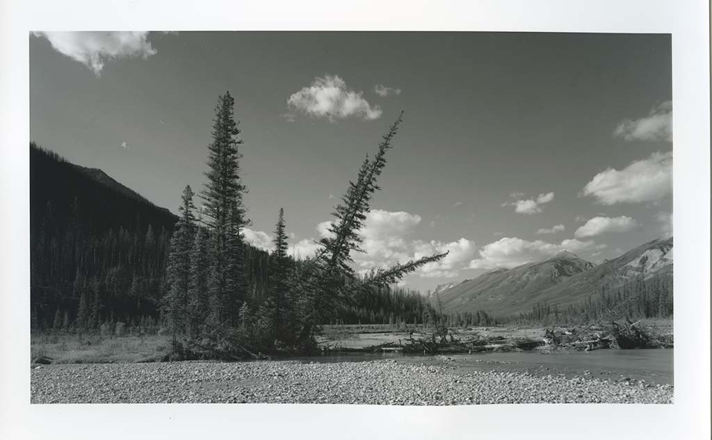 Kootenay River Valley Burn