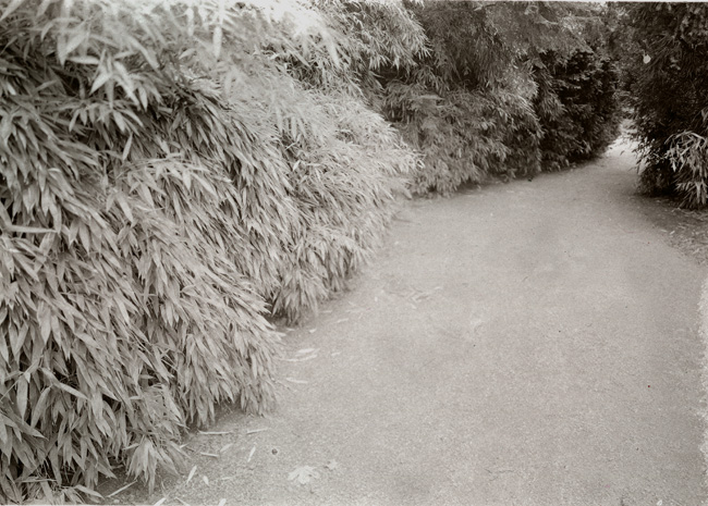 Kubotoa Gardens #1 - Seattle