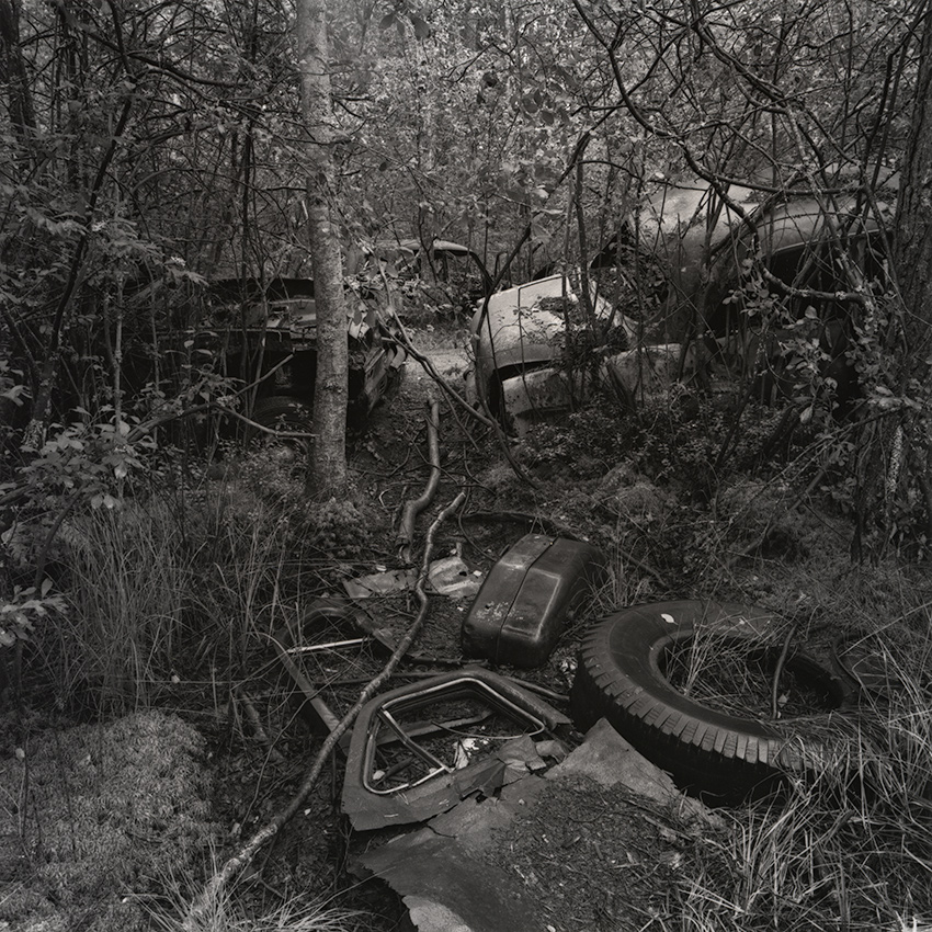 Kyrkö mosse, 2