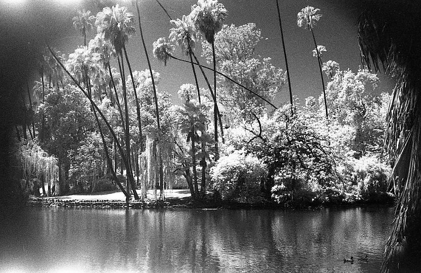 LA County Arboretum