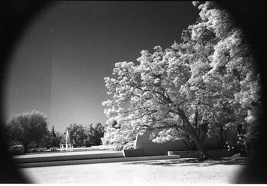 LA County Arboretum