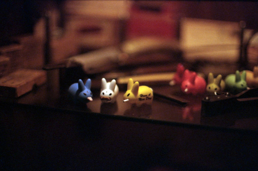 labbits