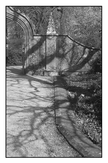 Lacock Abbey Detail