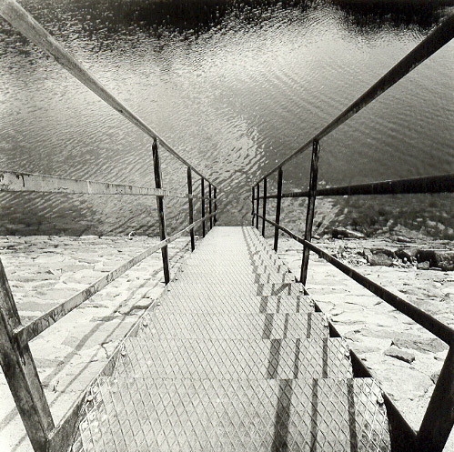 ladder