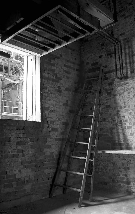 Ladder