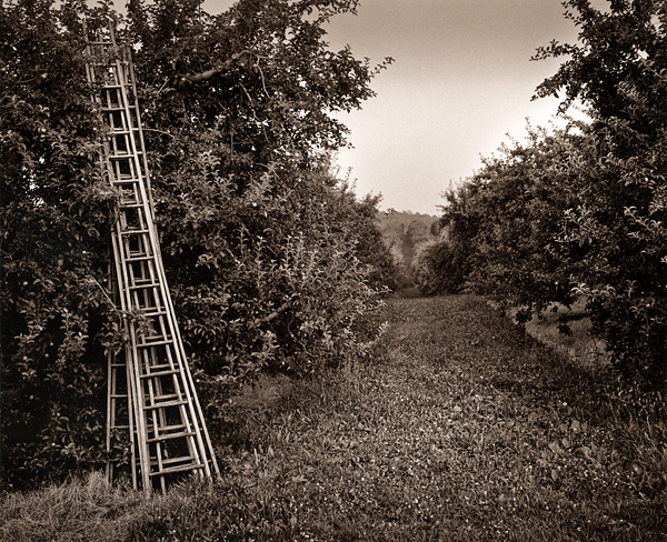 Ladders, Northern Adams County #2