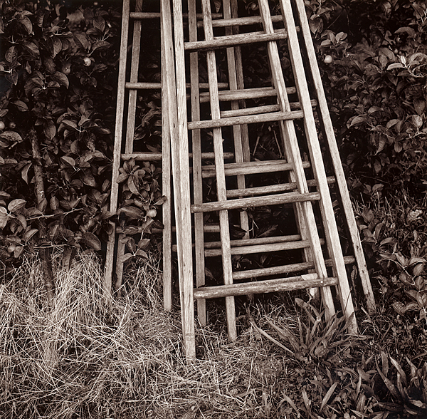 Ladders, Northern Adams County