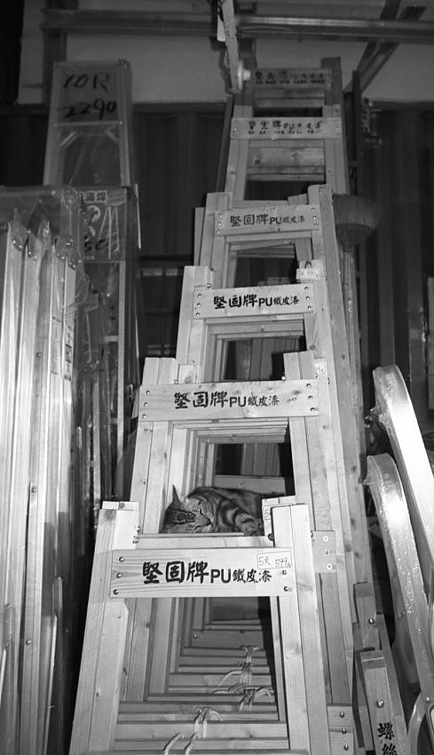 Ladders