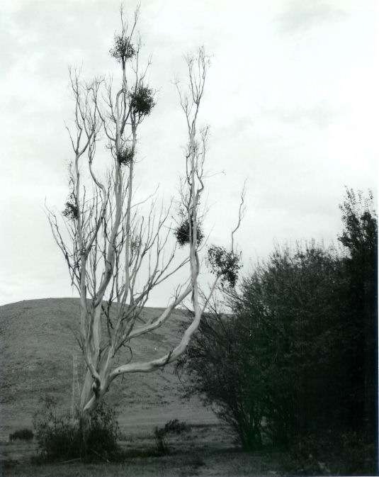 Laguna Lake Park - 001