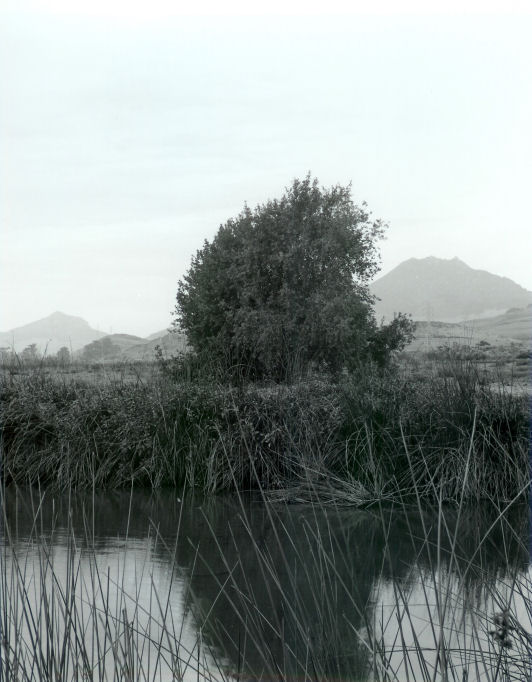 Laguna Lake Park - 003