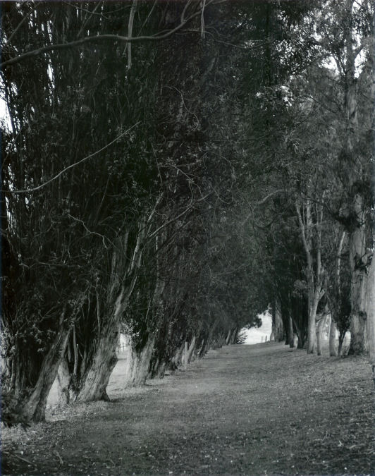 Laguna Lake Park - 004