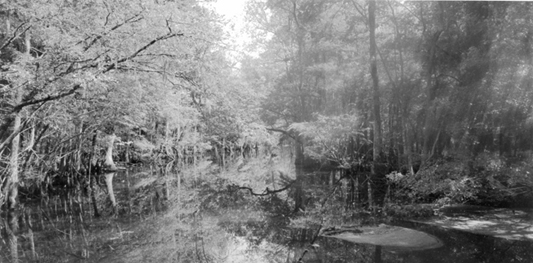 Lake Goodman