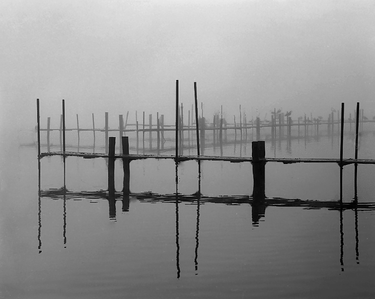 Lake Michigan  -  Tom Johnston