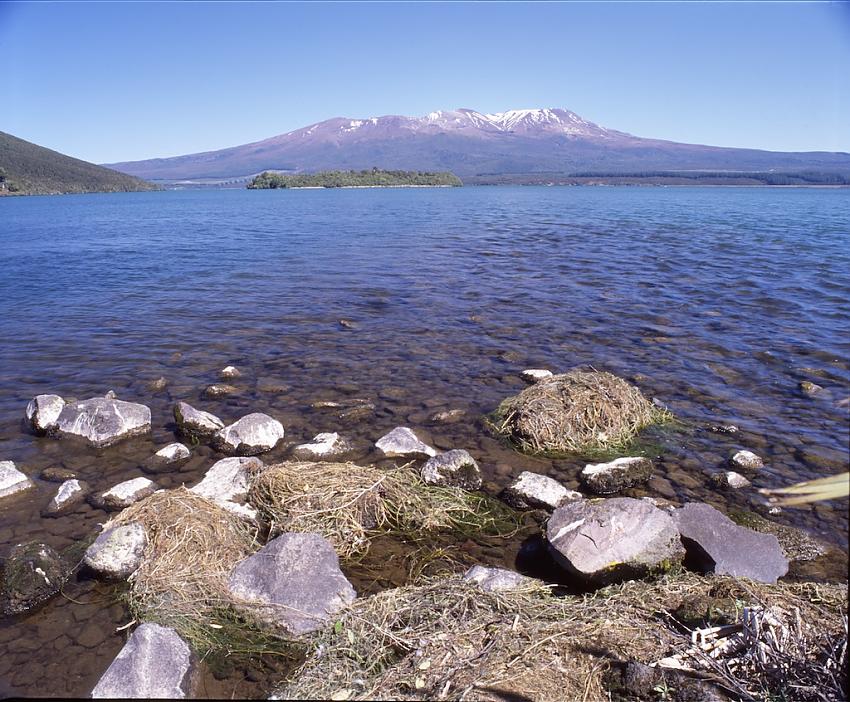 Lake Rotoaira, New Zealand