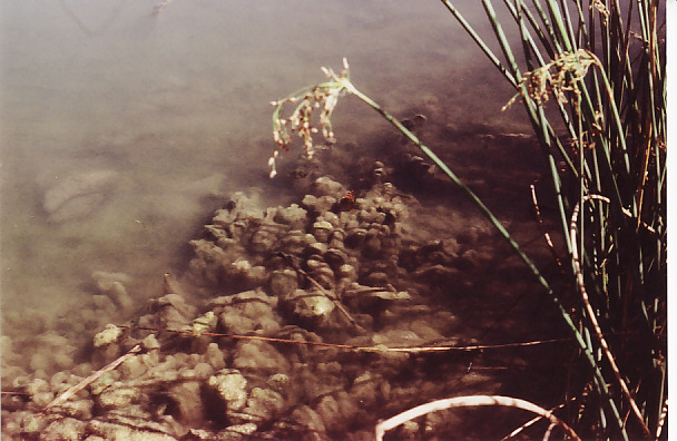 Lake Somewhere