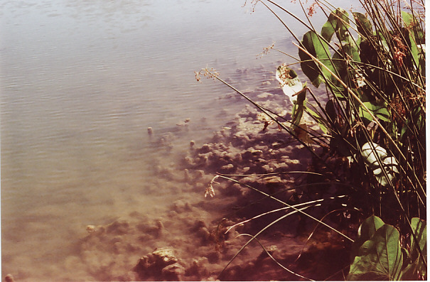 Lake Somewhere
