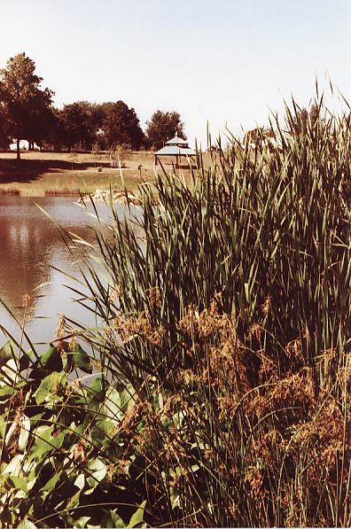 Lake Somewhere