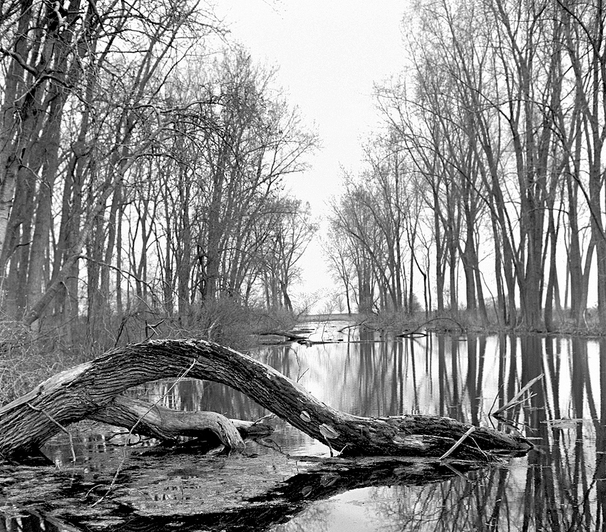 Lake St Clair Metropark, Michigan