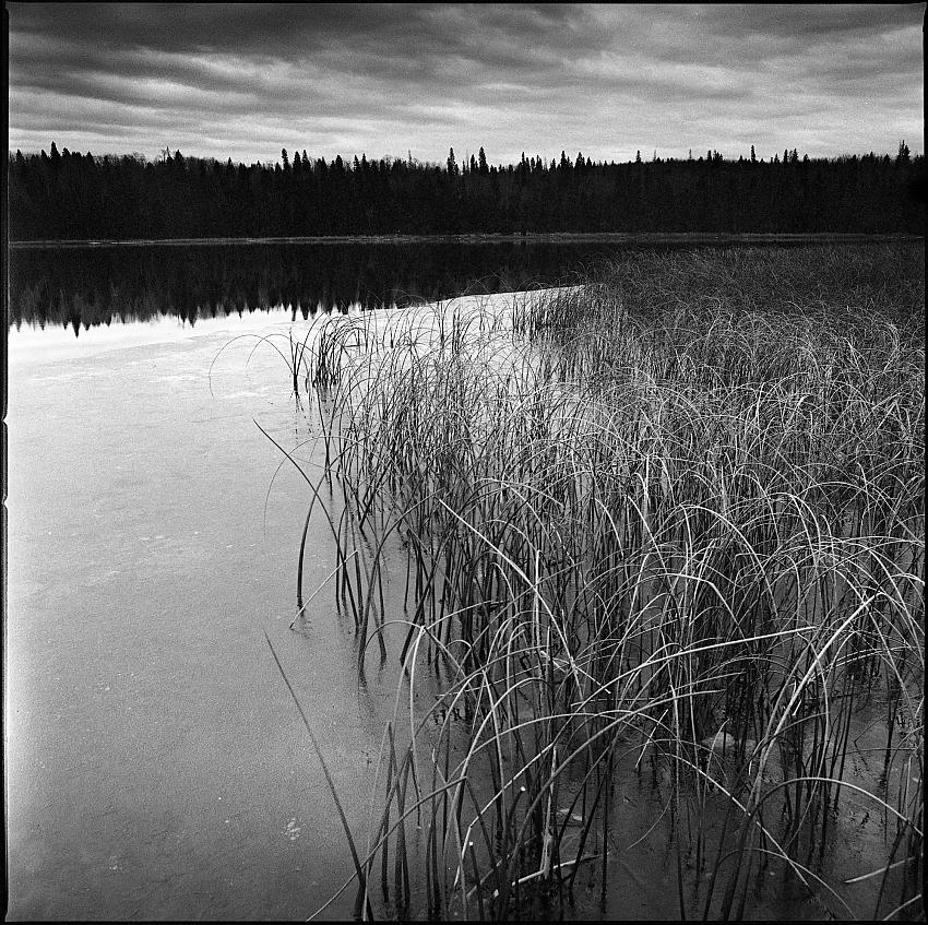 Lakeshore, Riding Mountain National Park; Manitoba, Canada
