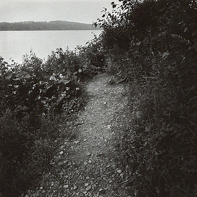 Lakeside Path - Little Things