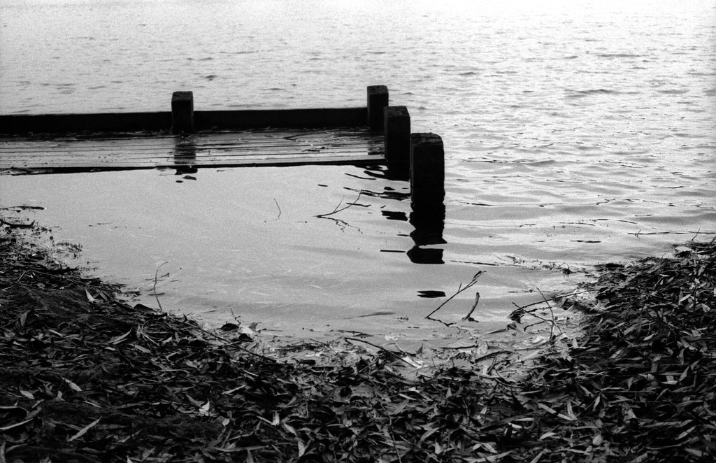 Lakeside reflections