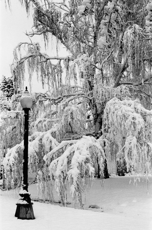 Lamppost