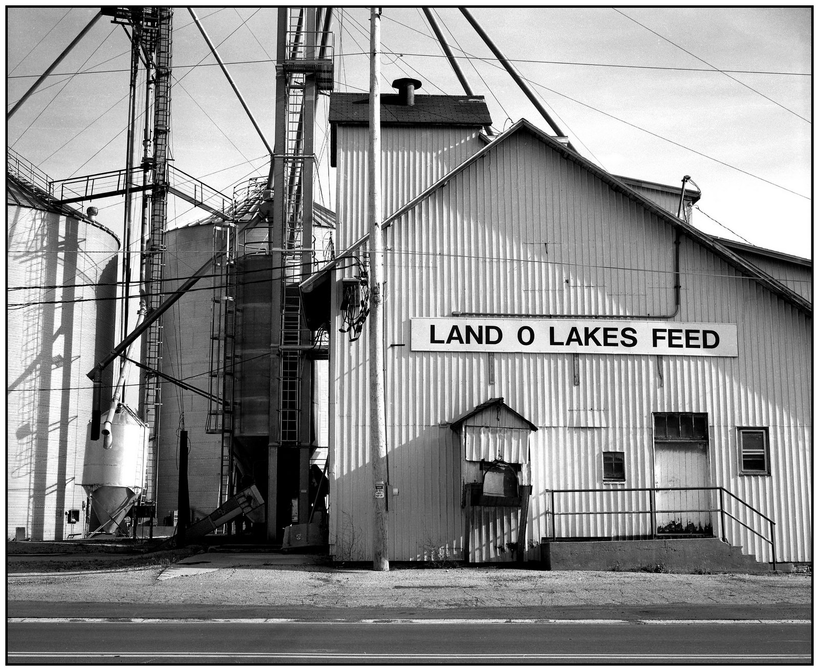 Land O Lakes Feed.