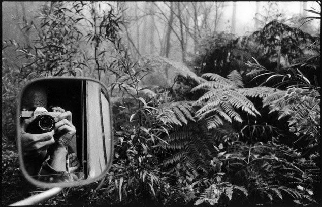 Landcruiser self portrait