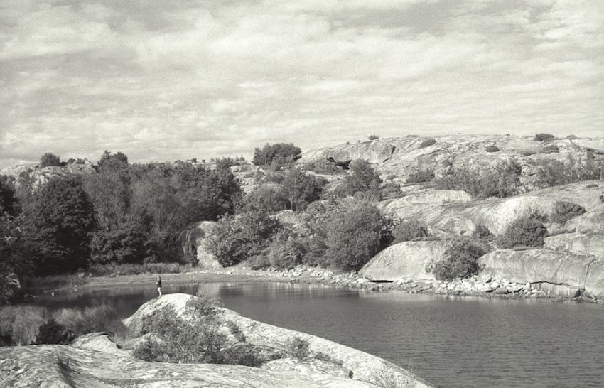 Landscape