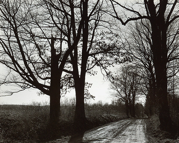 Lane