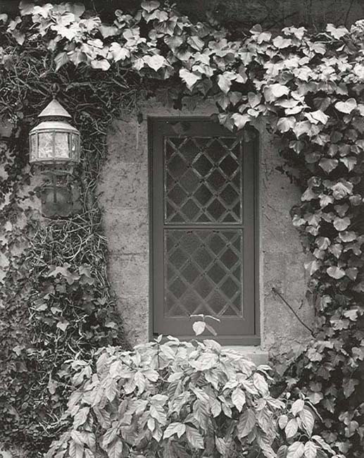 Lantern & Window
