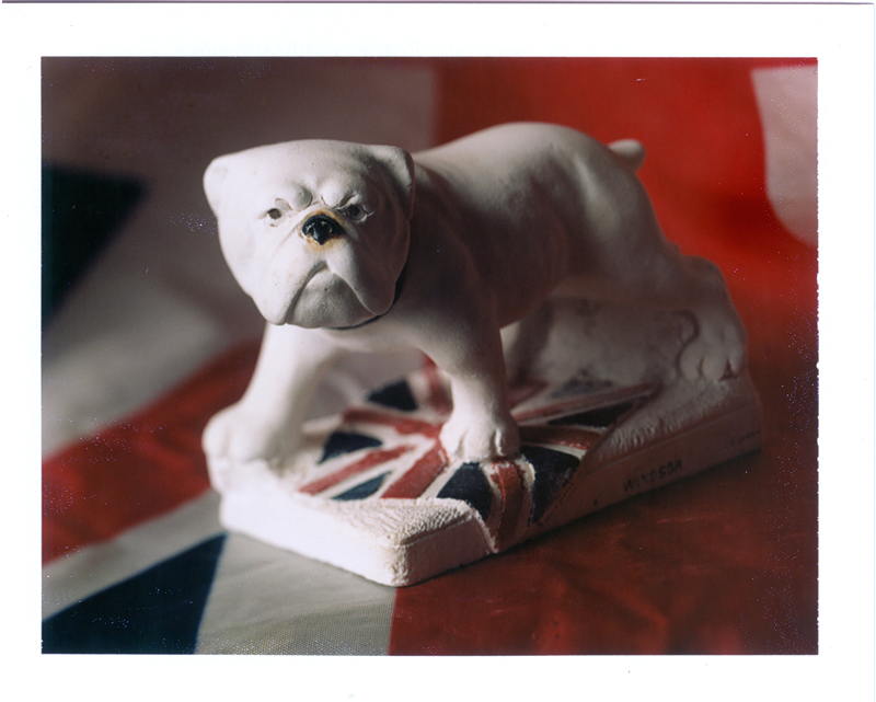 Large Format Instant Fun