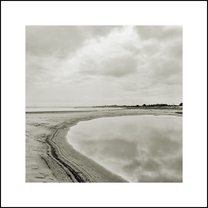 Large Tide Pool