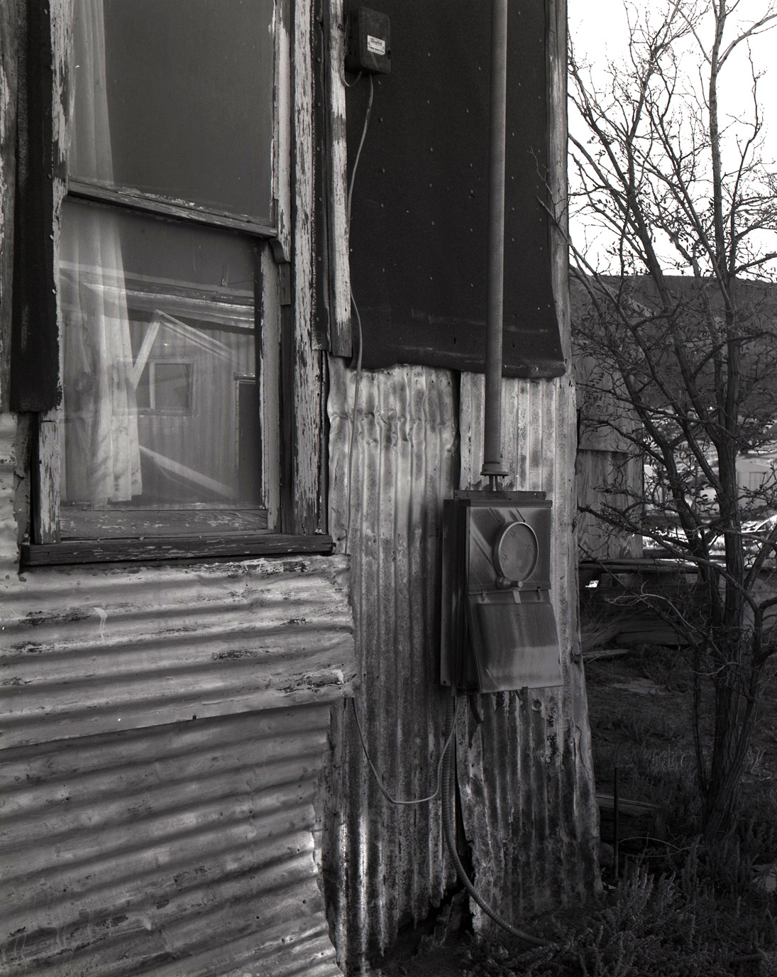Larisa's Goldfield Tarpaper Shack