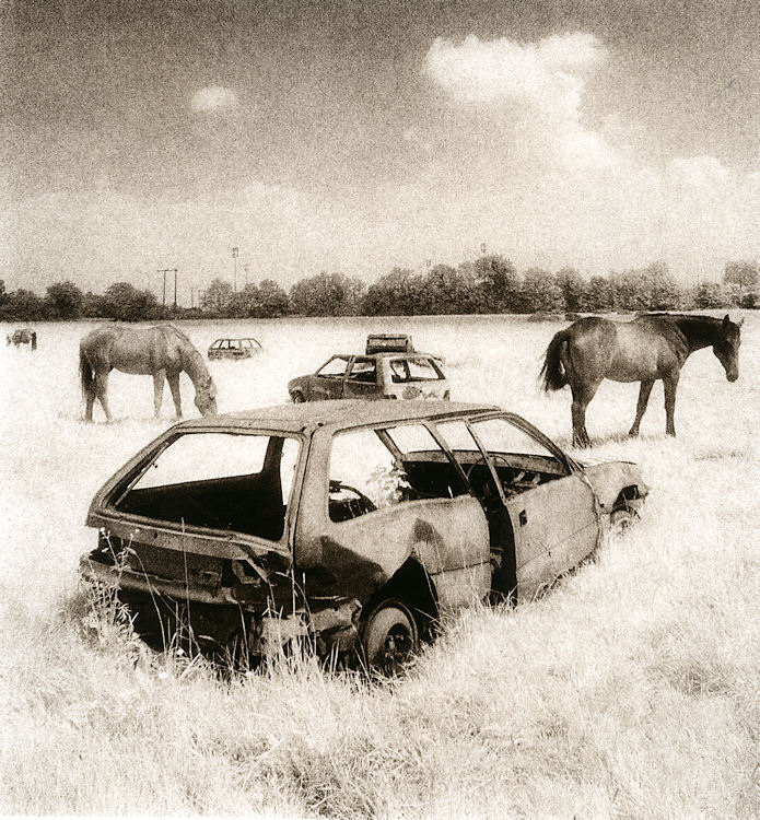 Last One Standing Ii