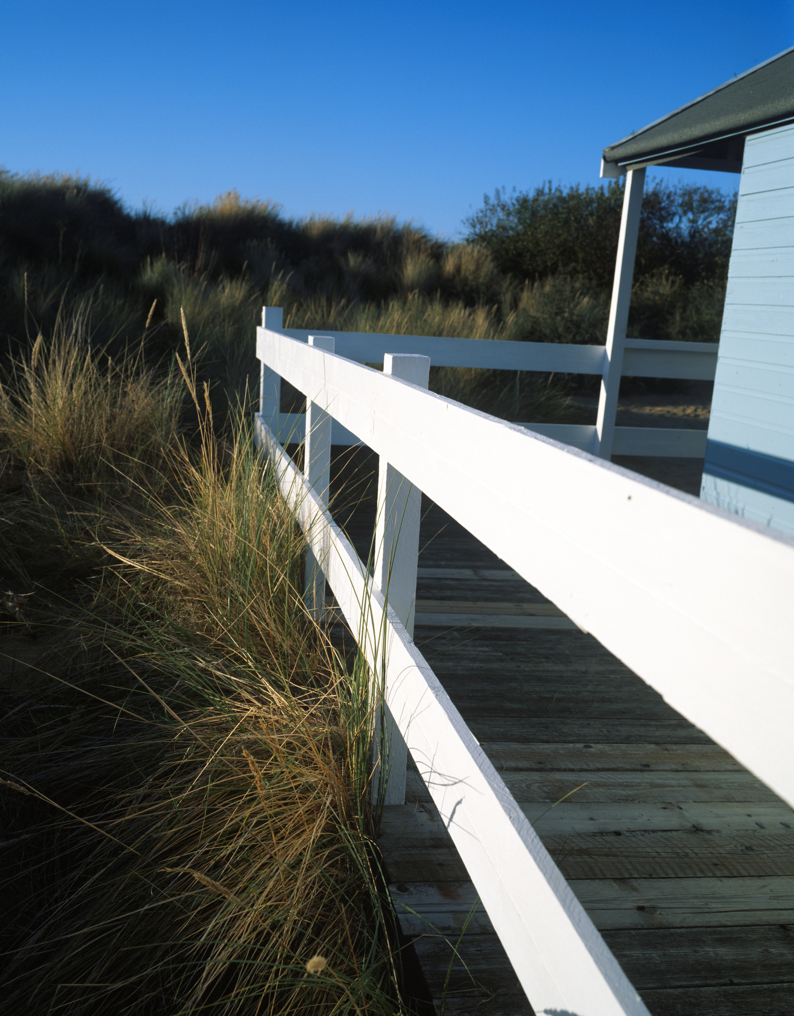 Last summer amongst the beach huts