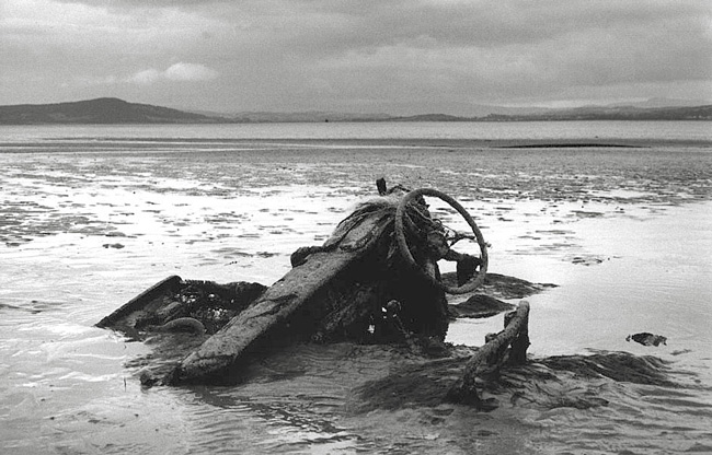 Last walk of the season 3. Dead car.