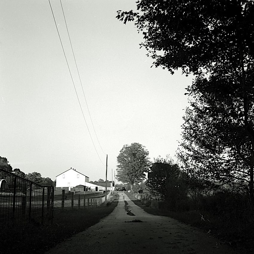 Late Day at the Farm