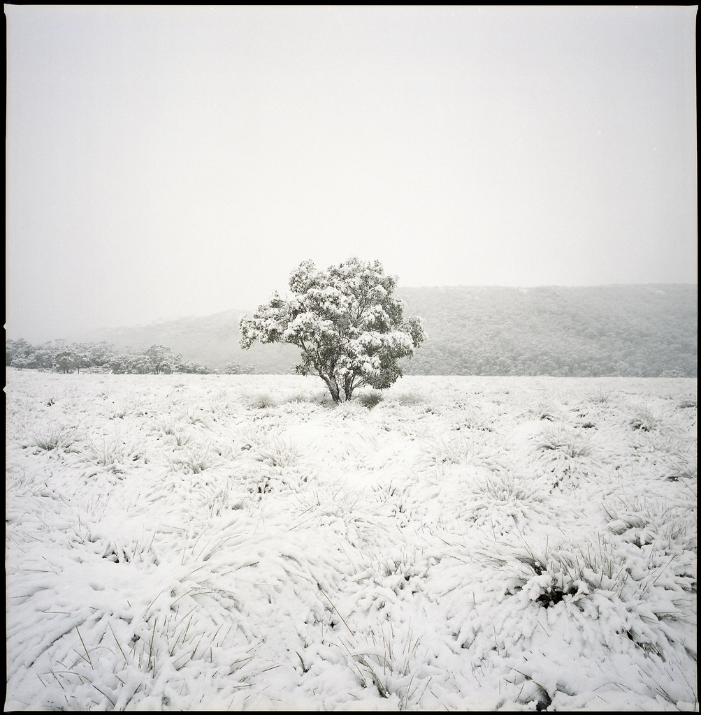Late summer snow