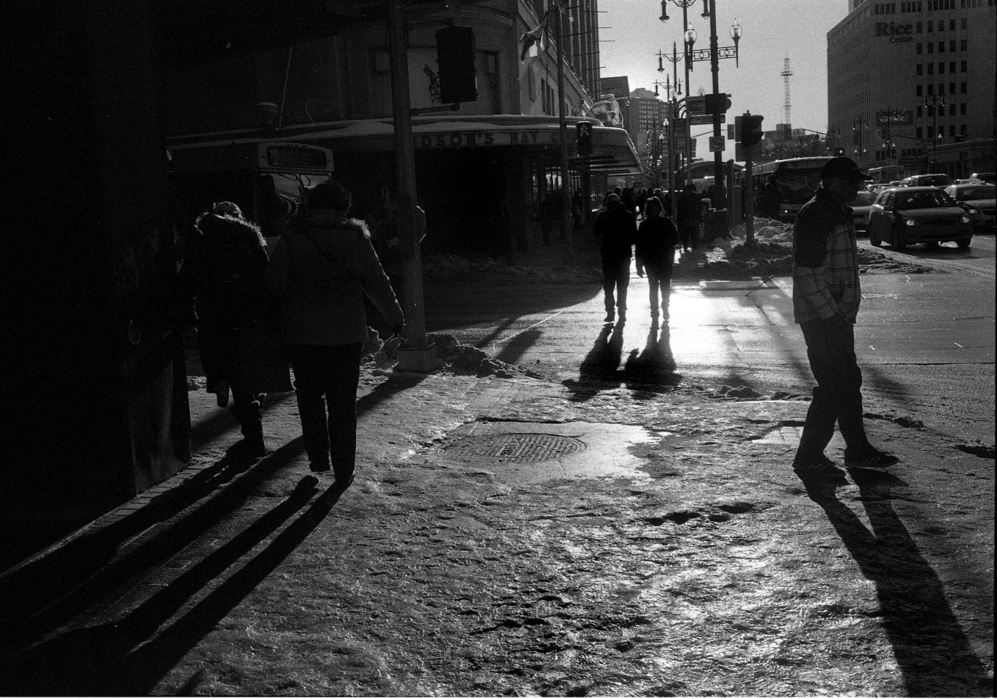 Late Winter Sun