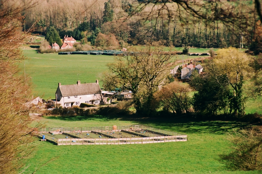 Late winter's day in Horningsham