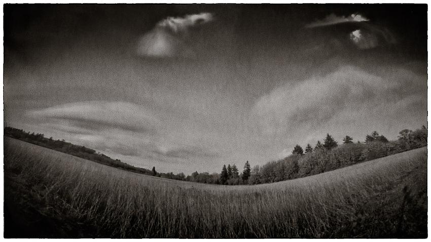Laughing Vista