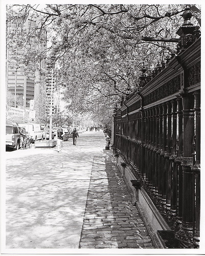Law Society Fence (to keep the Lawyers in)
